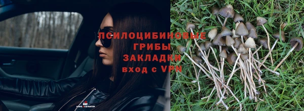 бутик Новозыбков