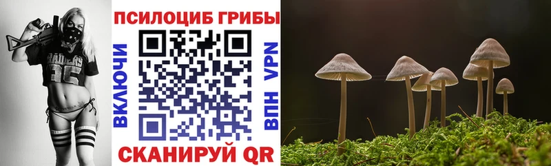Купить закладки  Апатиты  Галлюциногенные грибы Psilocybe 